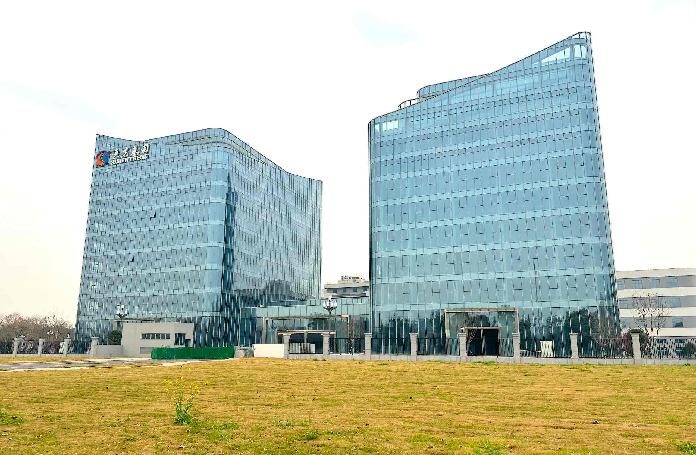 成都营销策划公司哪家比较有实力？